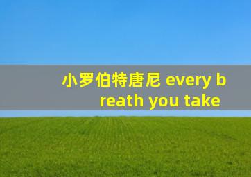 小罗伯特唐尼 every breath you take